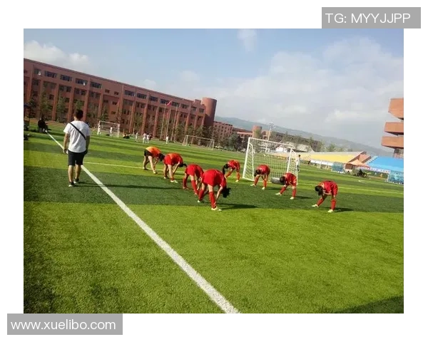 女足球员刘珊珊个人资料与职业生涯简介及成就解析