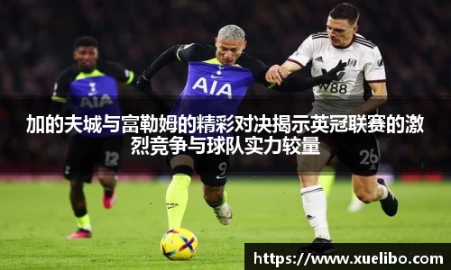 加的夫城与富勒姆的精彩对决揭示英冠联赛的激烈竞争与球队实力较量